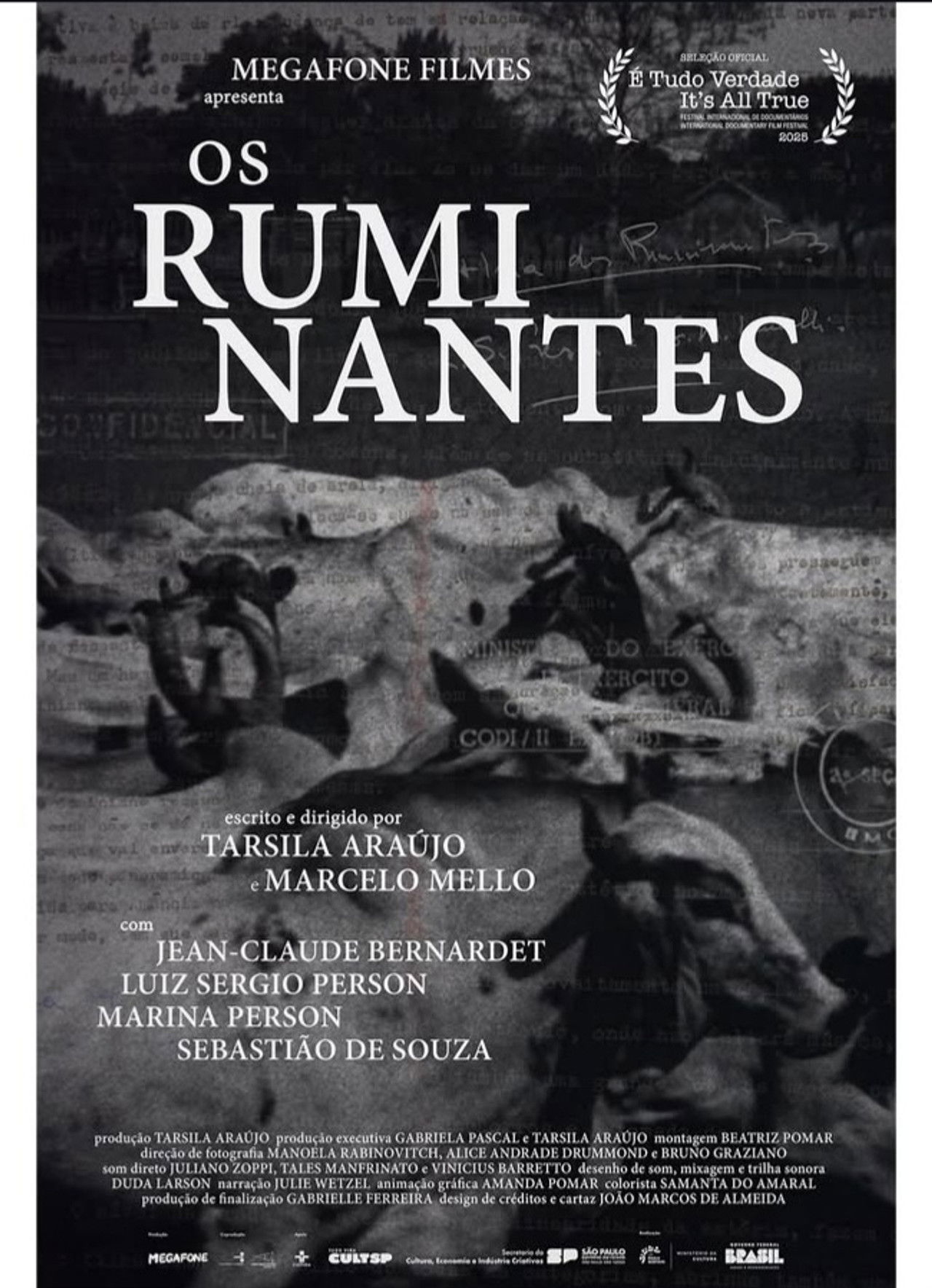 Os Ruminantes