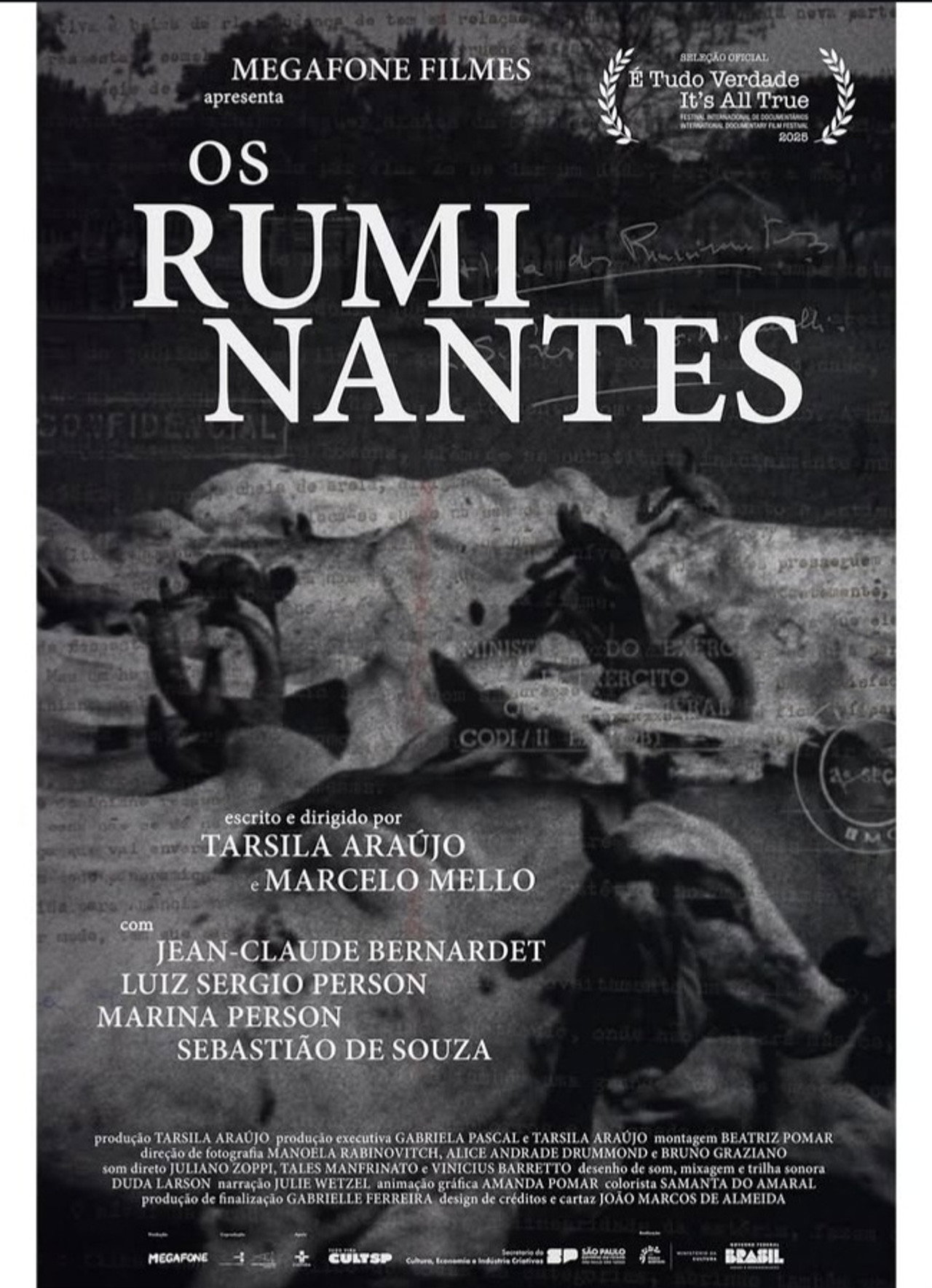 Os Ruminantes