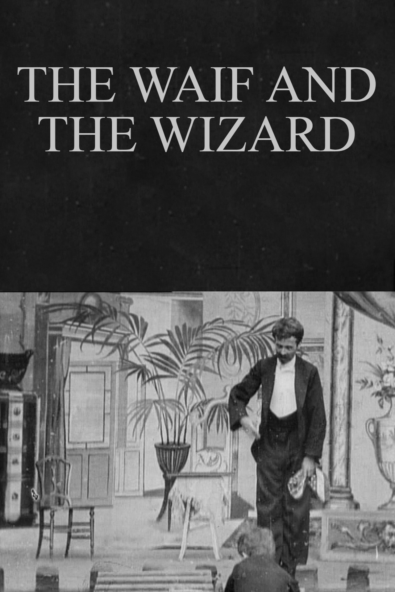 The Waif and the Wizard filmaffisch