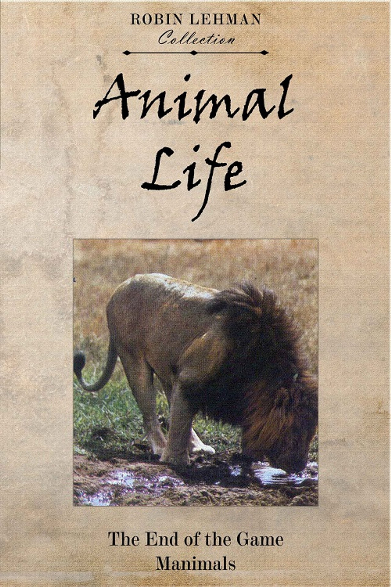 The End of the Game filmaffisch