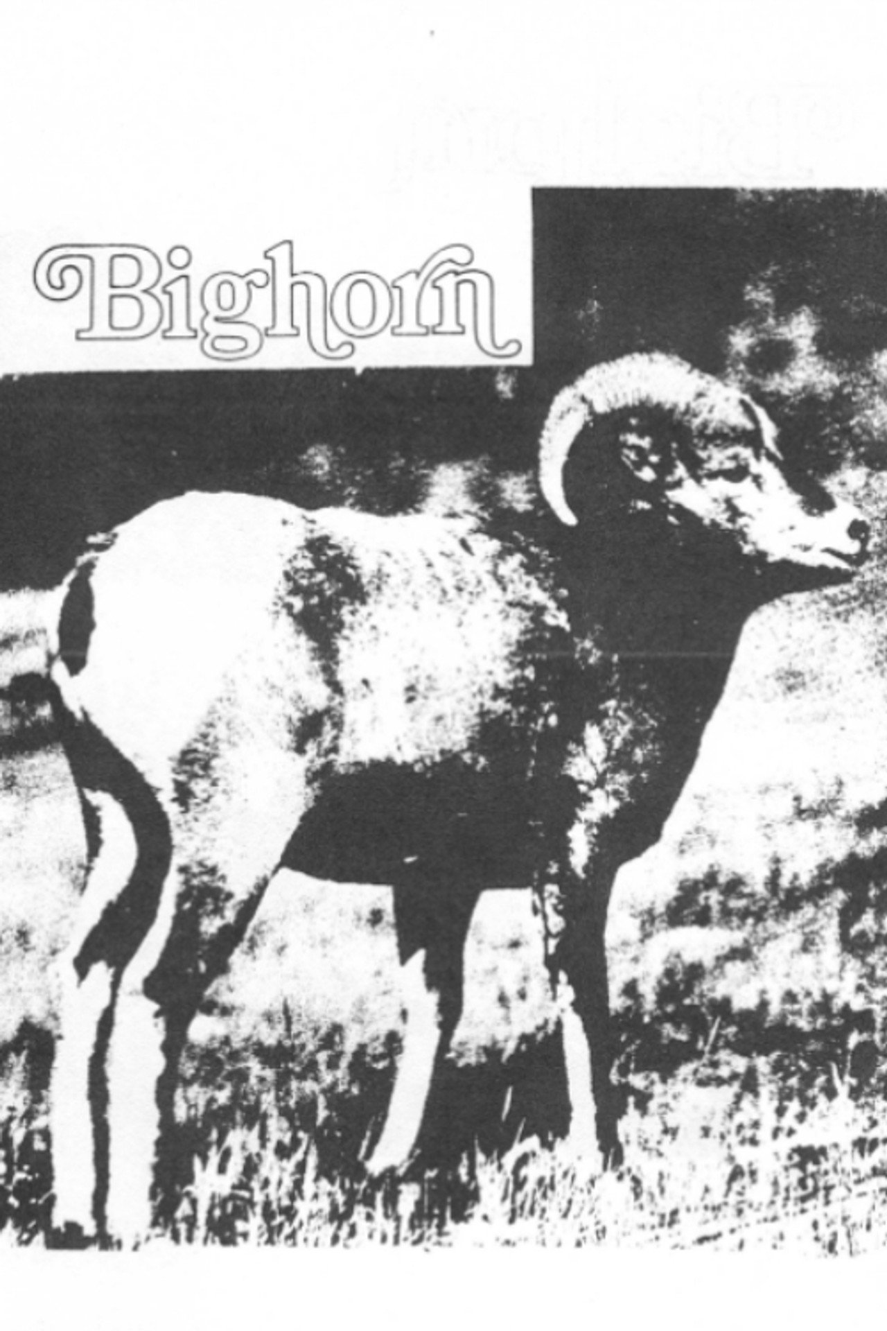 Bighorn
