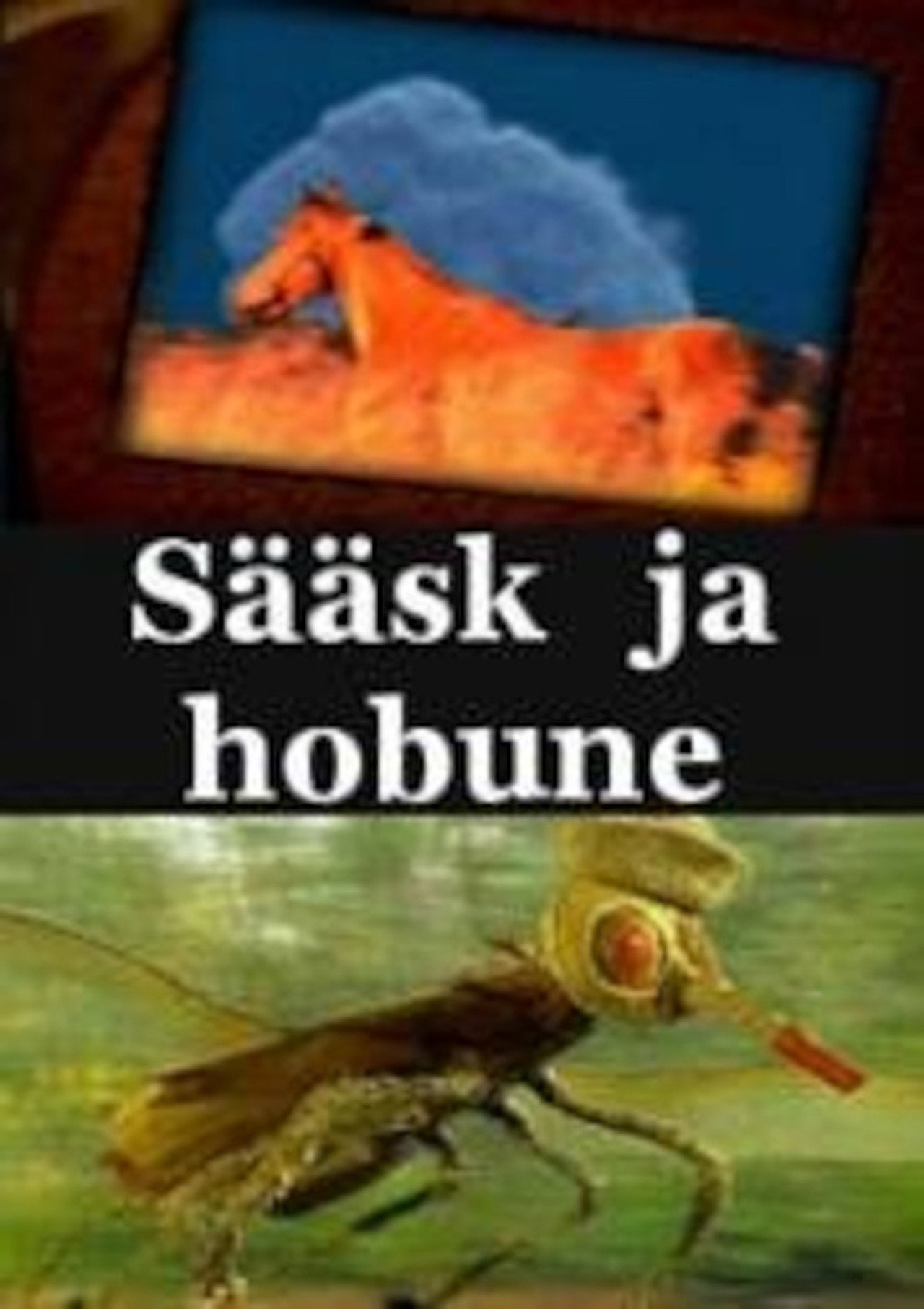 Mosquito and Horse
