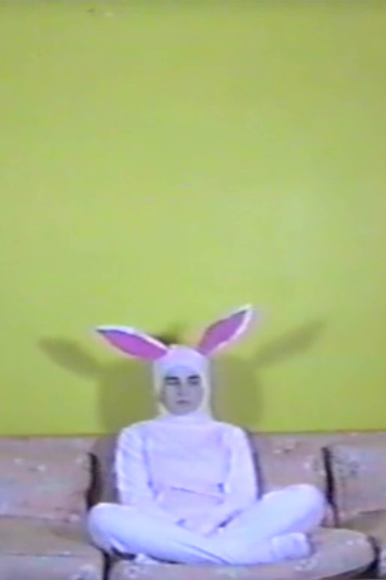 Caught in a Trap Backdrop