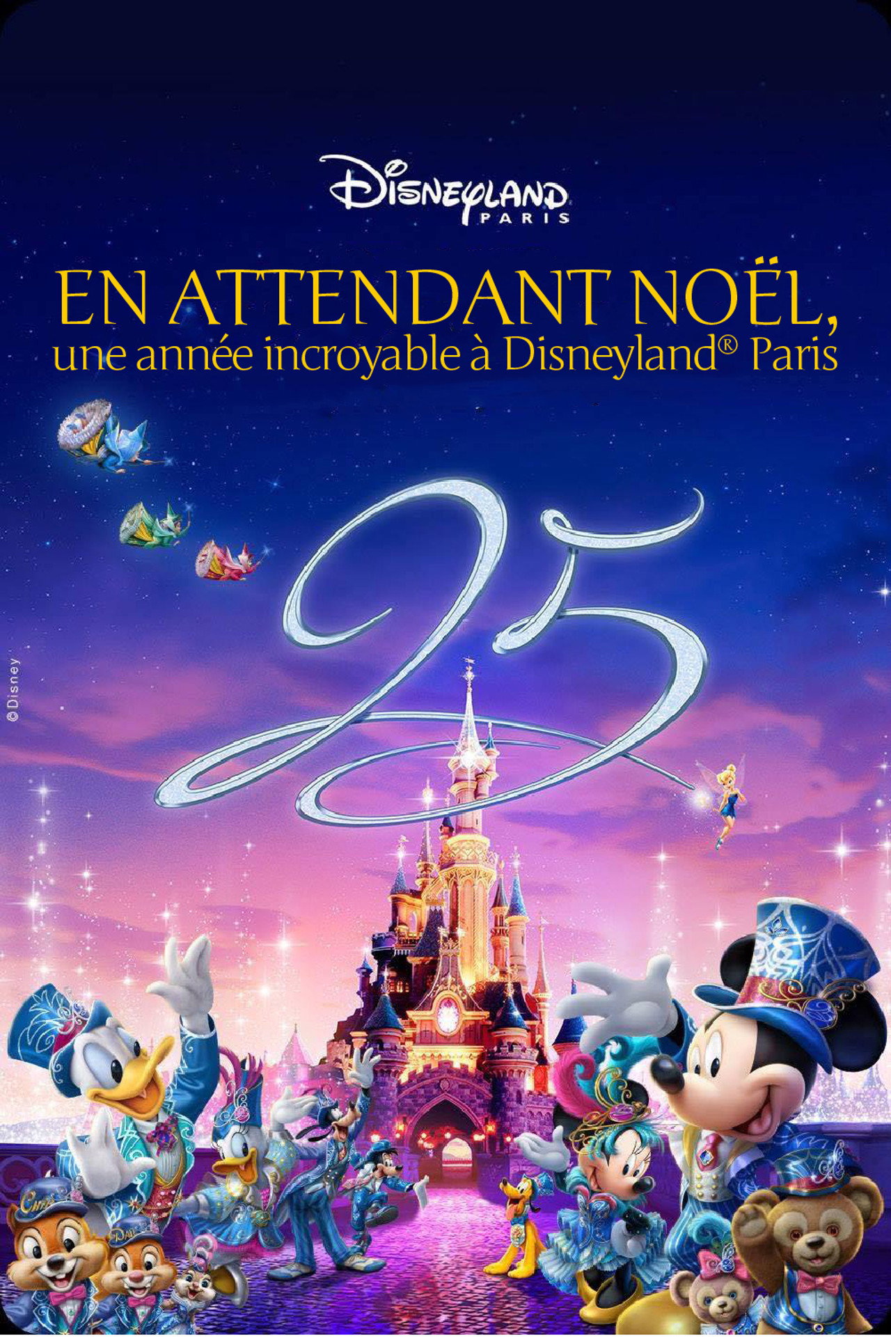 En attendant Noël : une année incroyable à Disneyland filmaffisch
