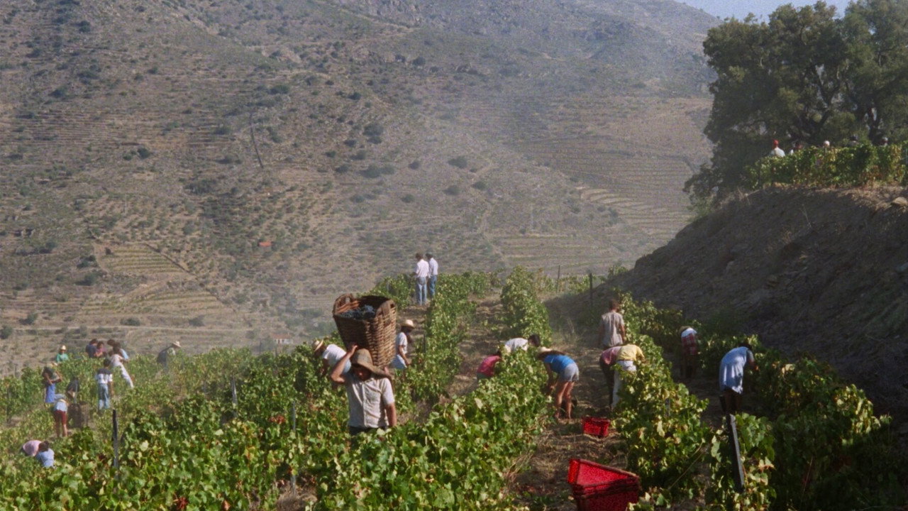Abraham's Valley background 56