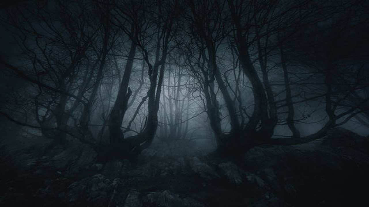 Geri vyrai, blogos girios backdrop