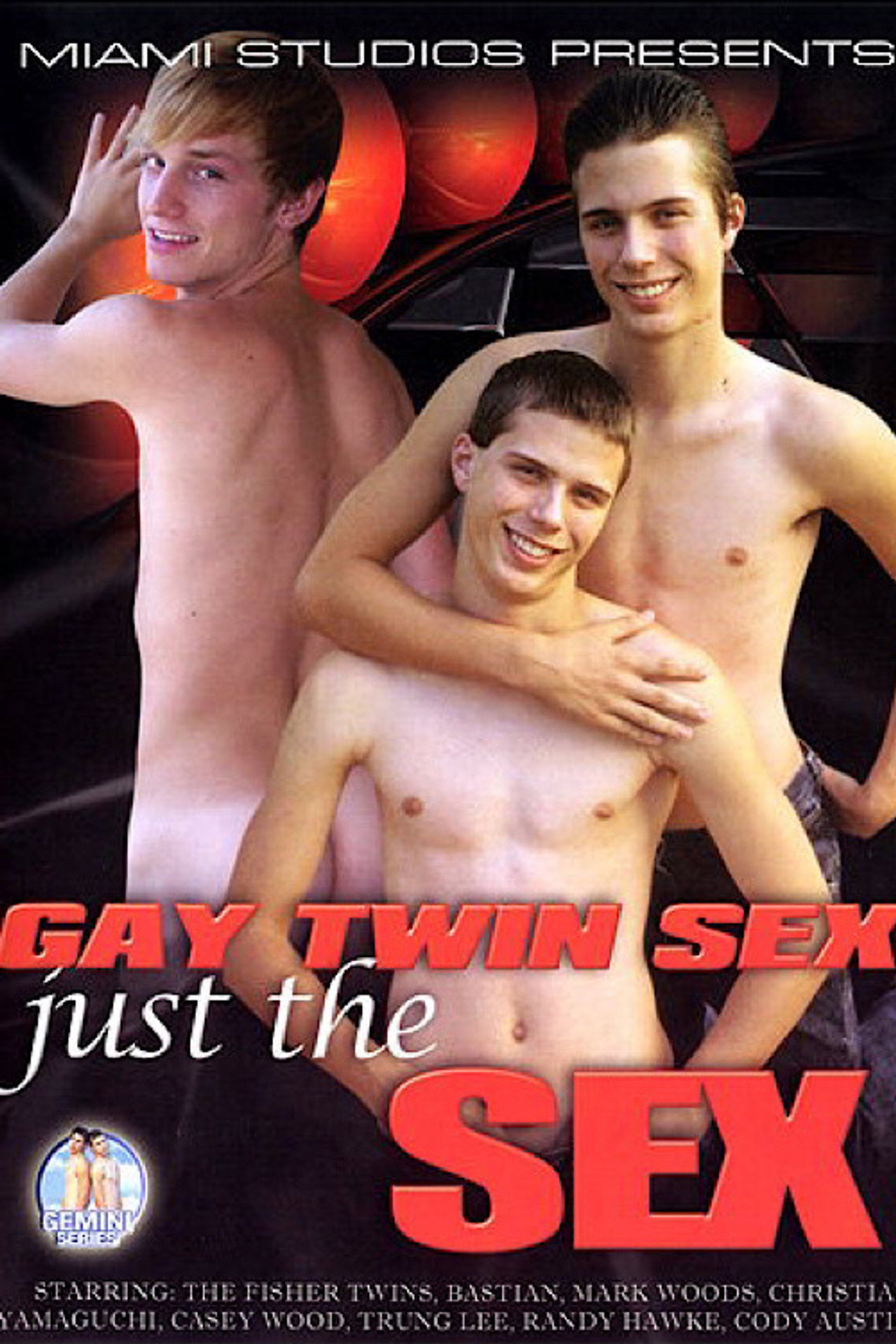 Gay Twin Sex: Just the Sex filmaffisch