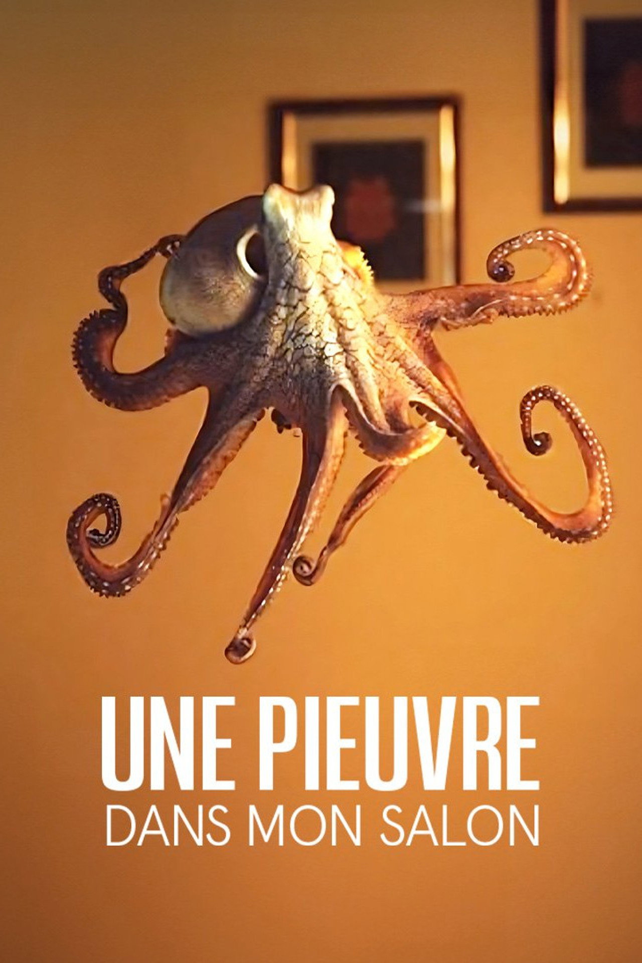 The Octopus in My House filmaffisch