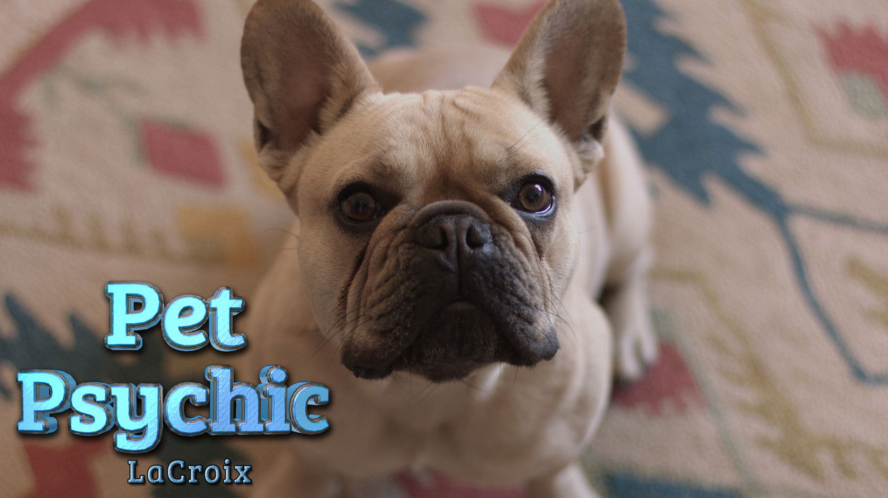 The Pet Psychic — Épisode 6