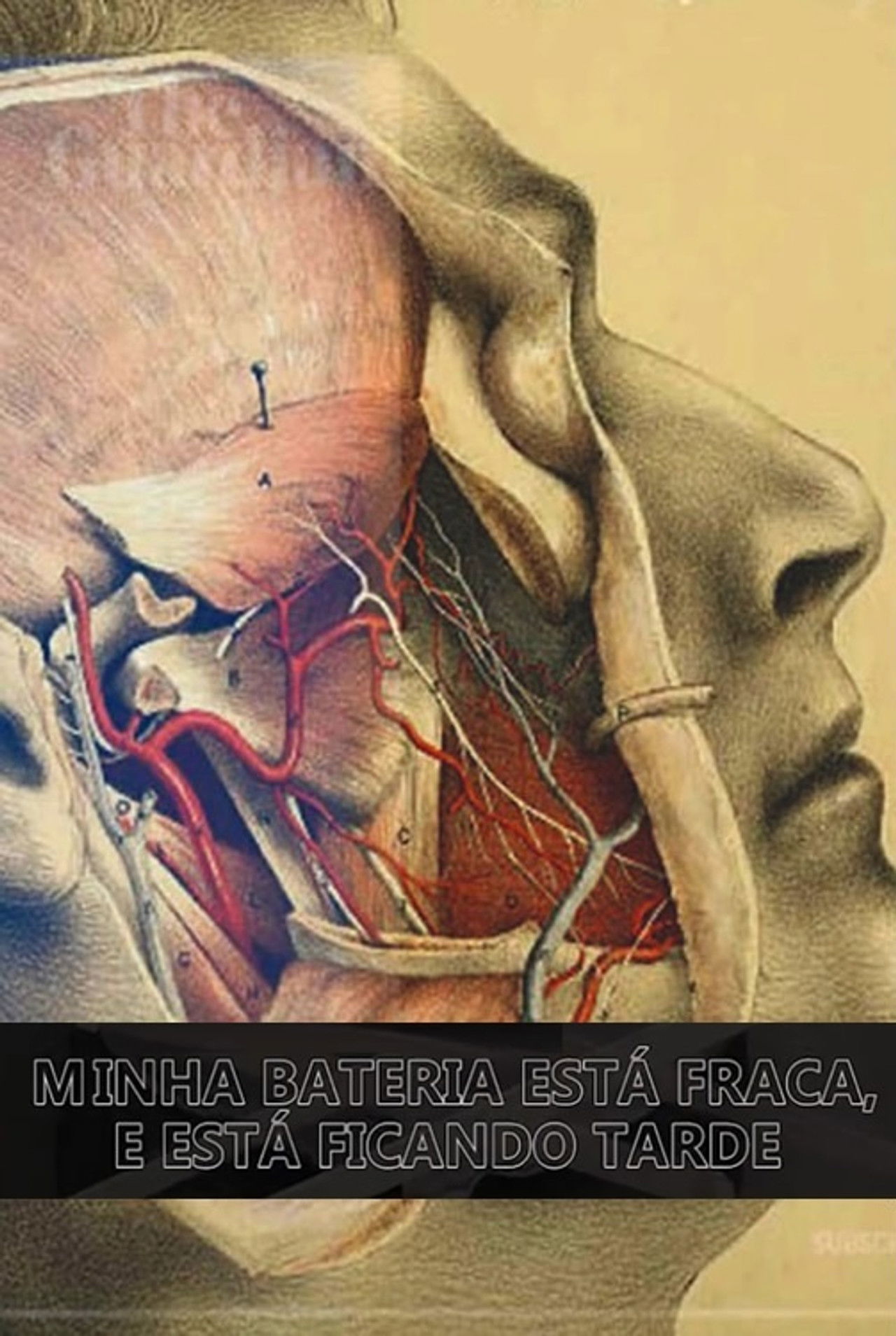 Minha Bateria Está Fraca e Está Ficando Tarde Backdrop