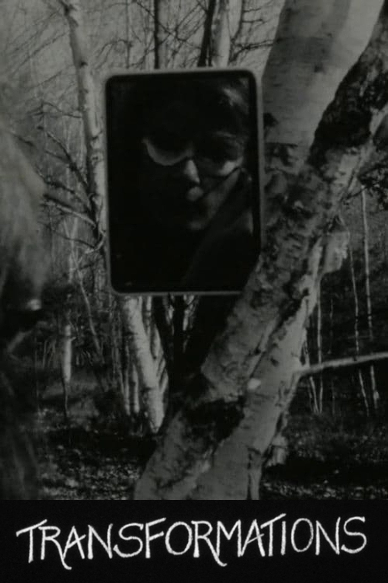 Transformations filmaffisch