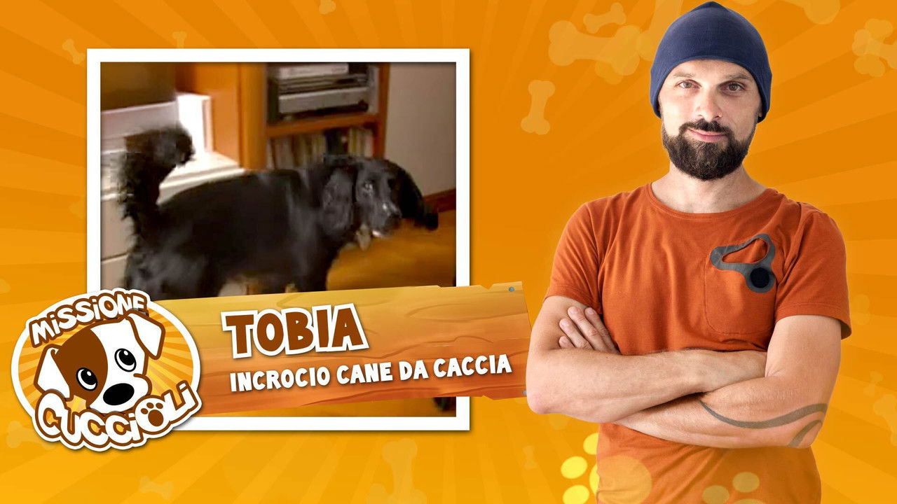 Missione cuccioli — Épisode 9