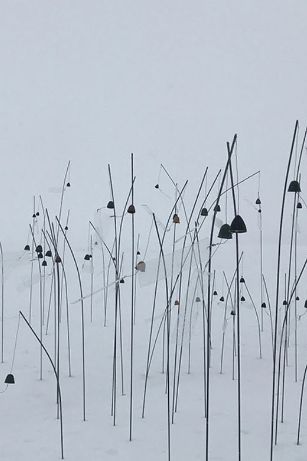 Animitas blanc filmaffisch