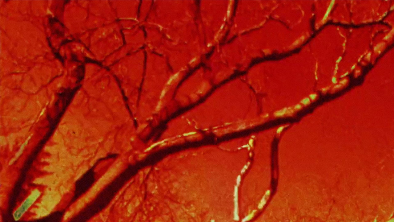 Seven Minutes in May