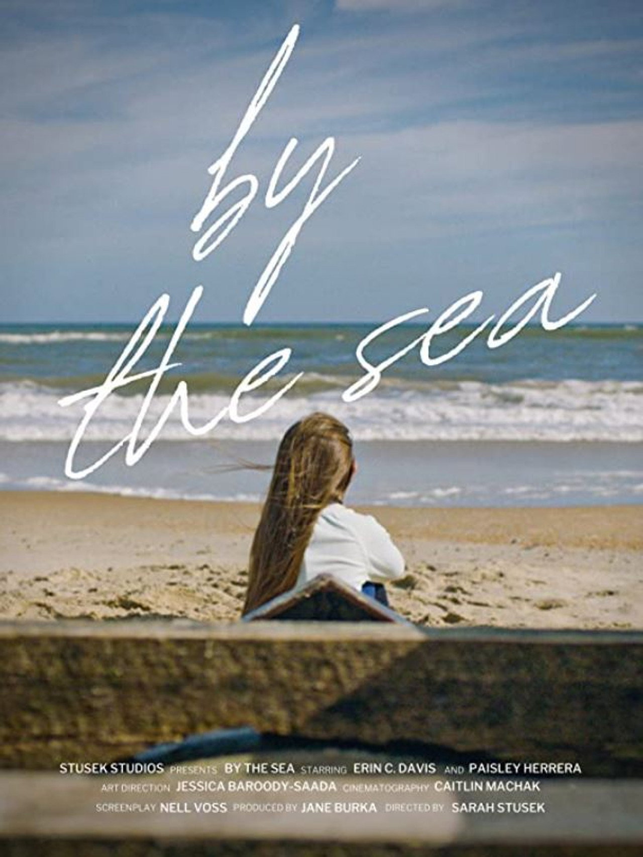 By the Sea Backdrop