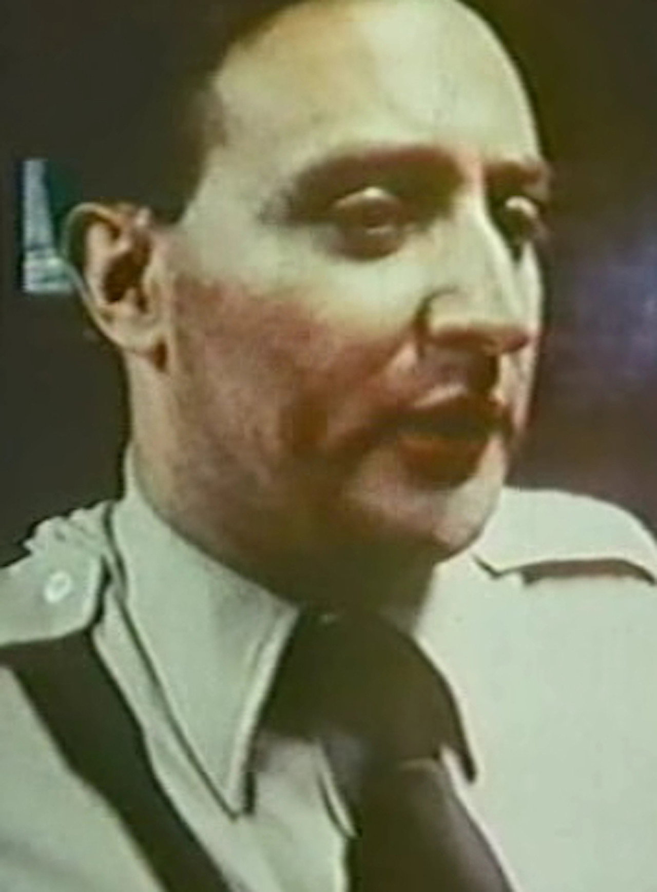 Chicago Nazis filmaffisch