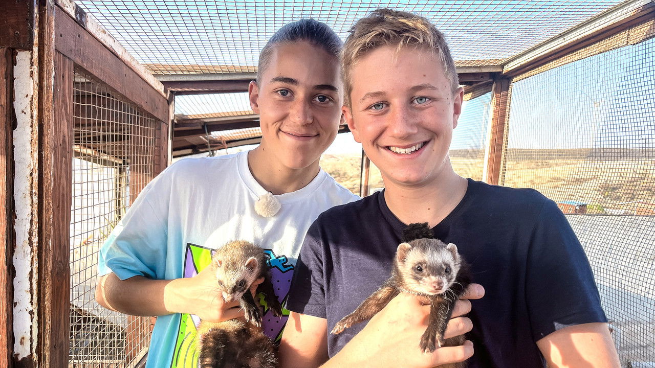 Die Jungs-WG - Season 9 Episode 8 : Episode 8