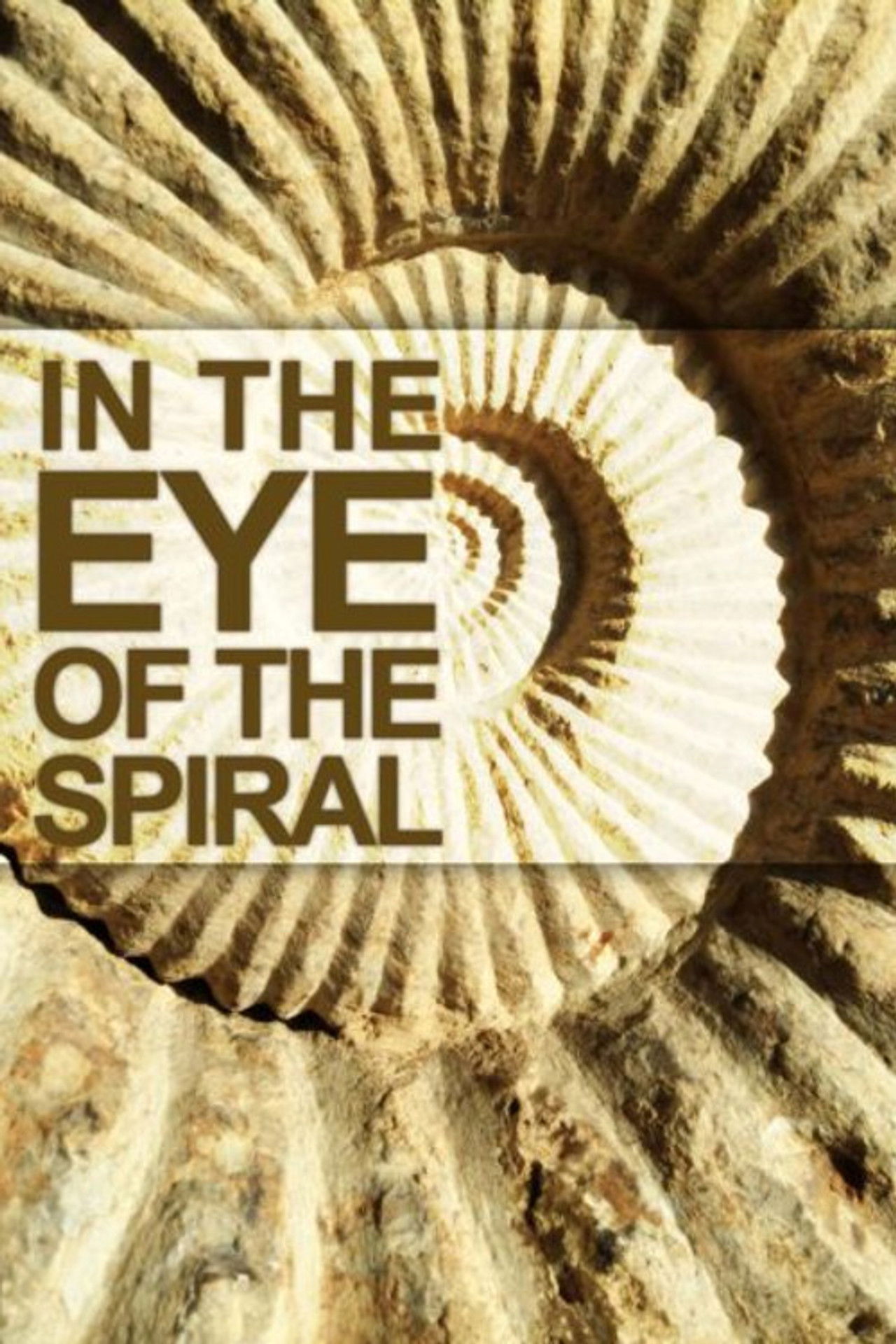 In the Eye of the Spiral Backdrop