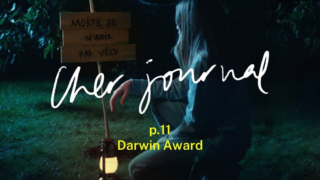 Cher Journal — Darwin Award