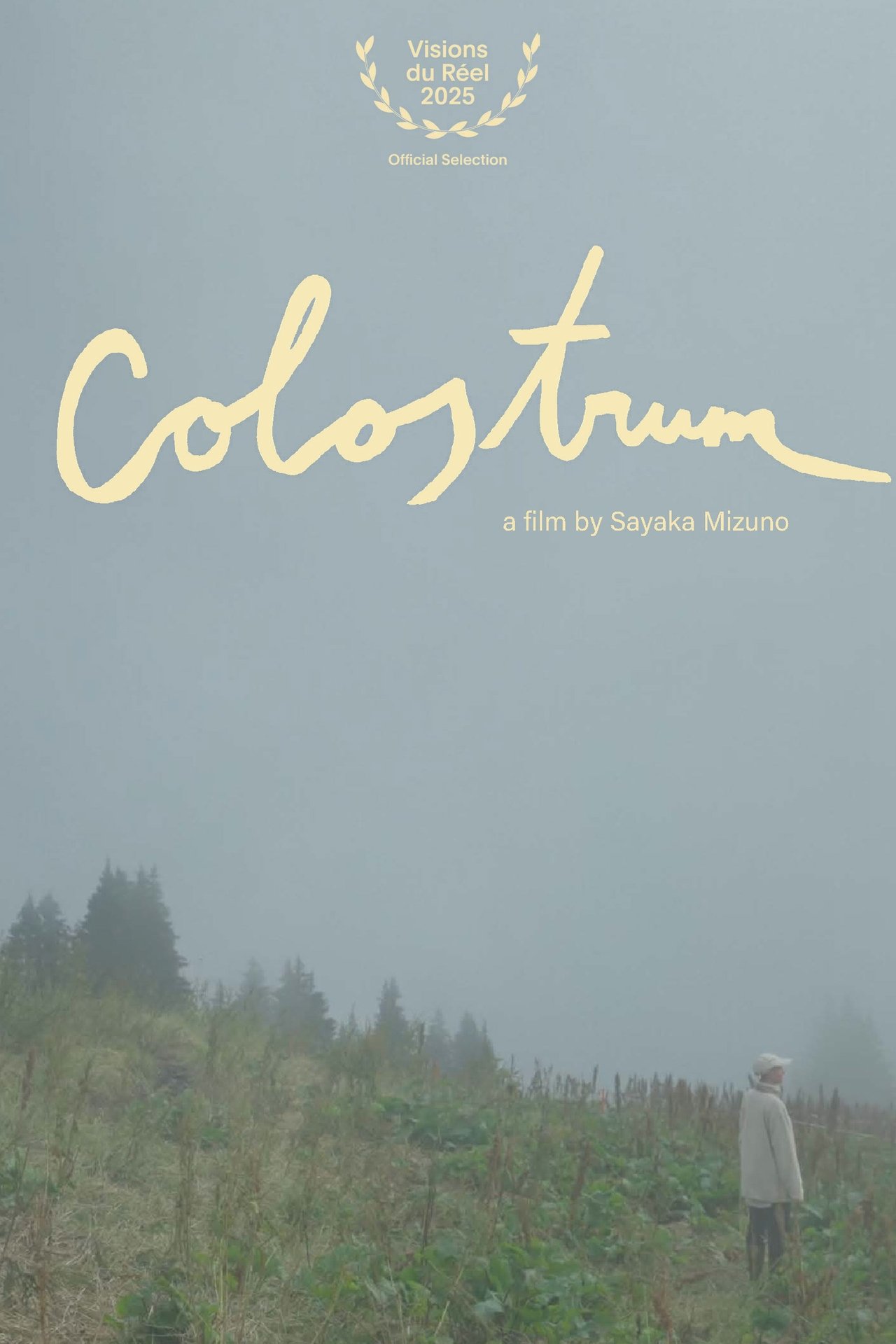 Colostrum Colostrum