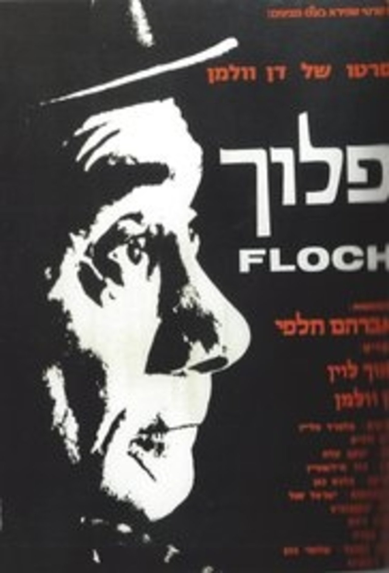 פלוך פלוך