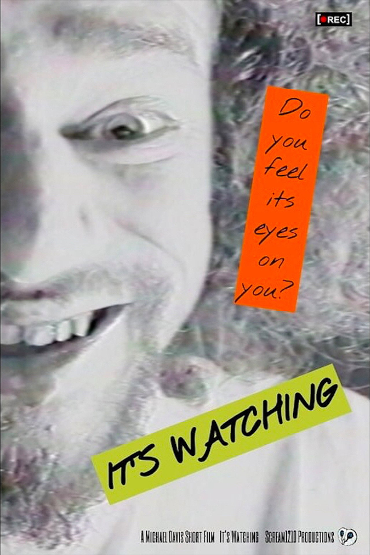 It's Watching filmaffisch