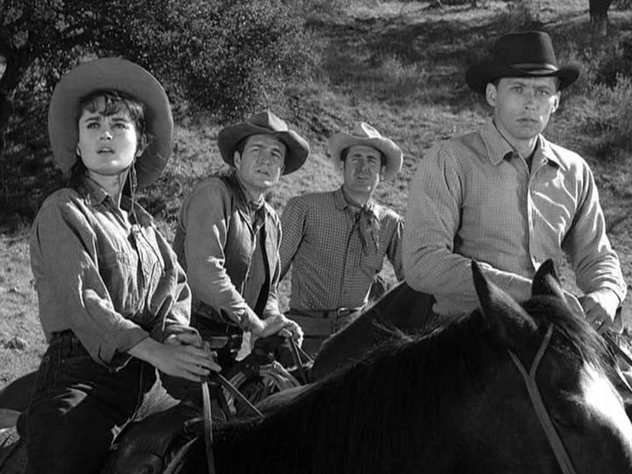 Rawhide — Les jeunes mariés