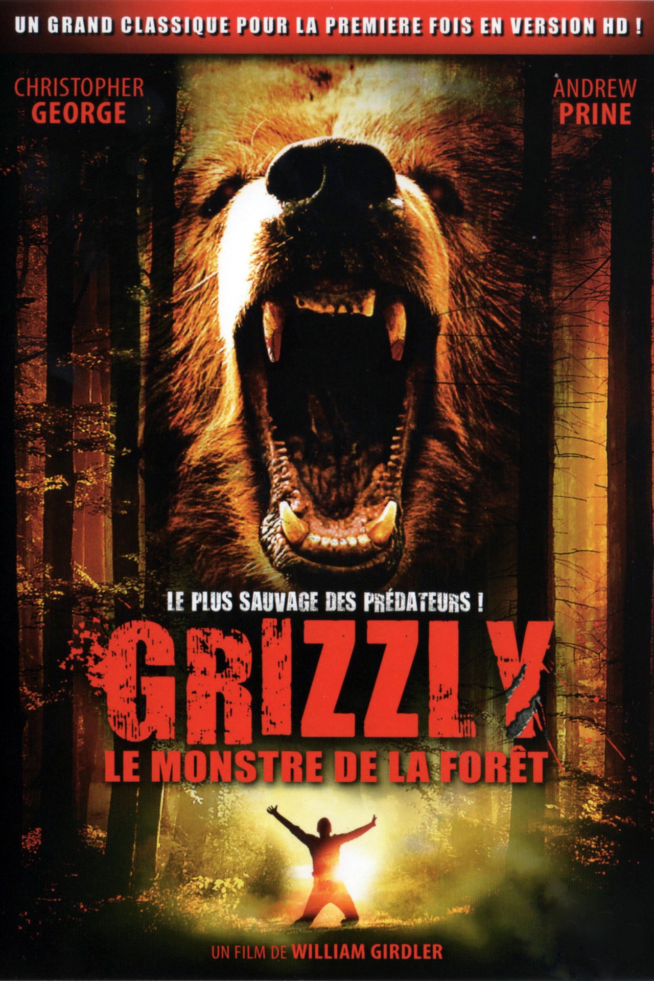 Grizzli, le monstre de la forêt