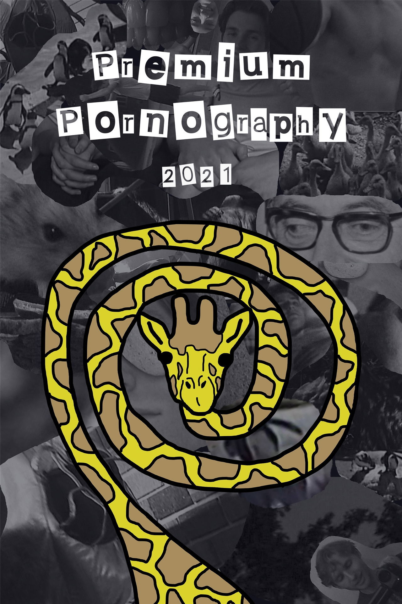 Premium Pornography Backdrop