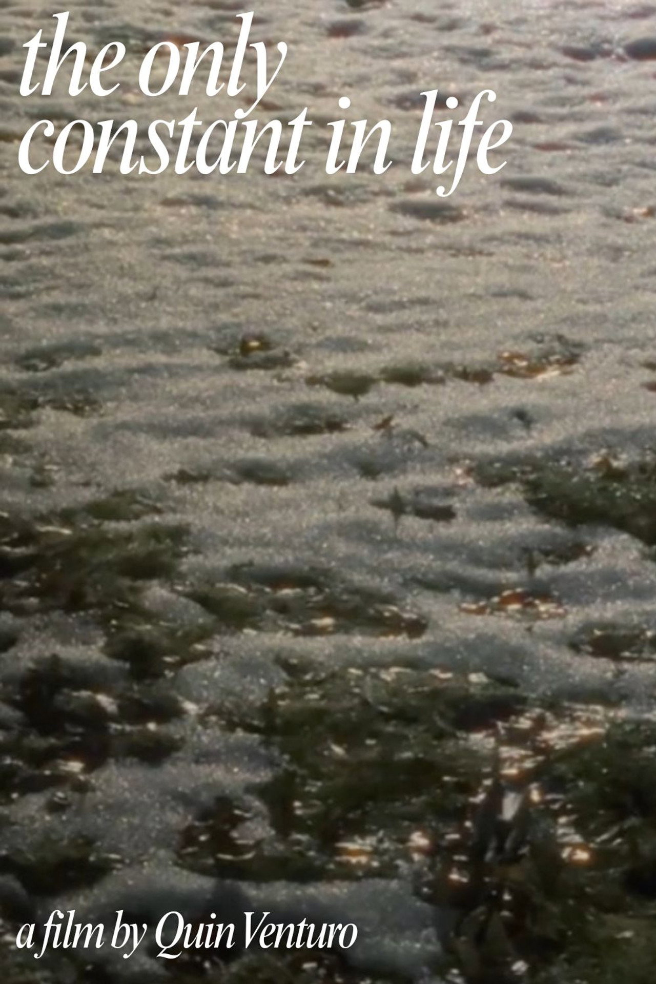 The Only Constant In Life filmaffisch