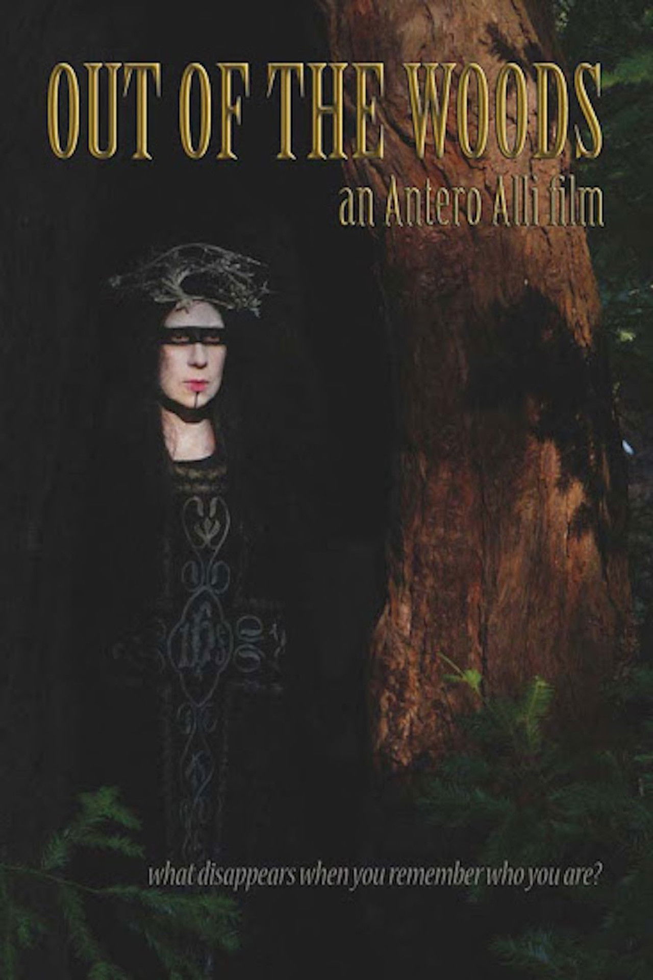 Out of the Woods Backdrop