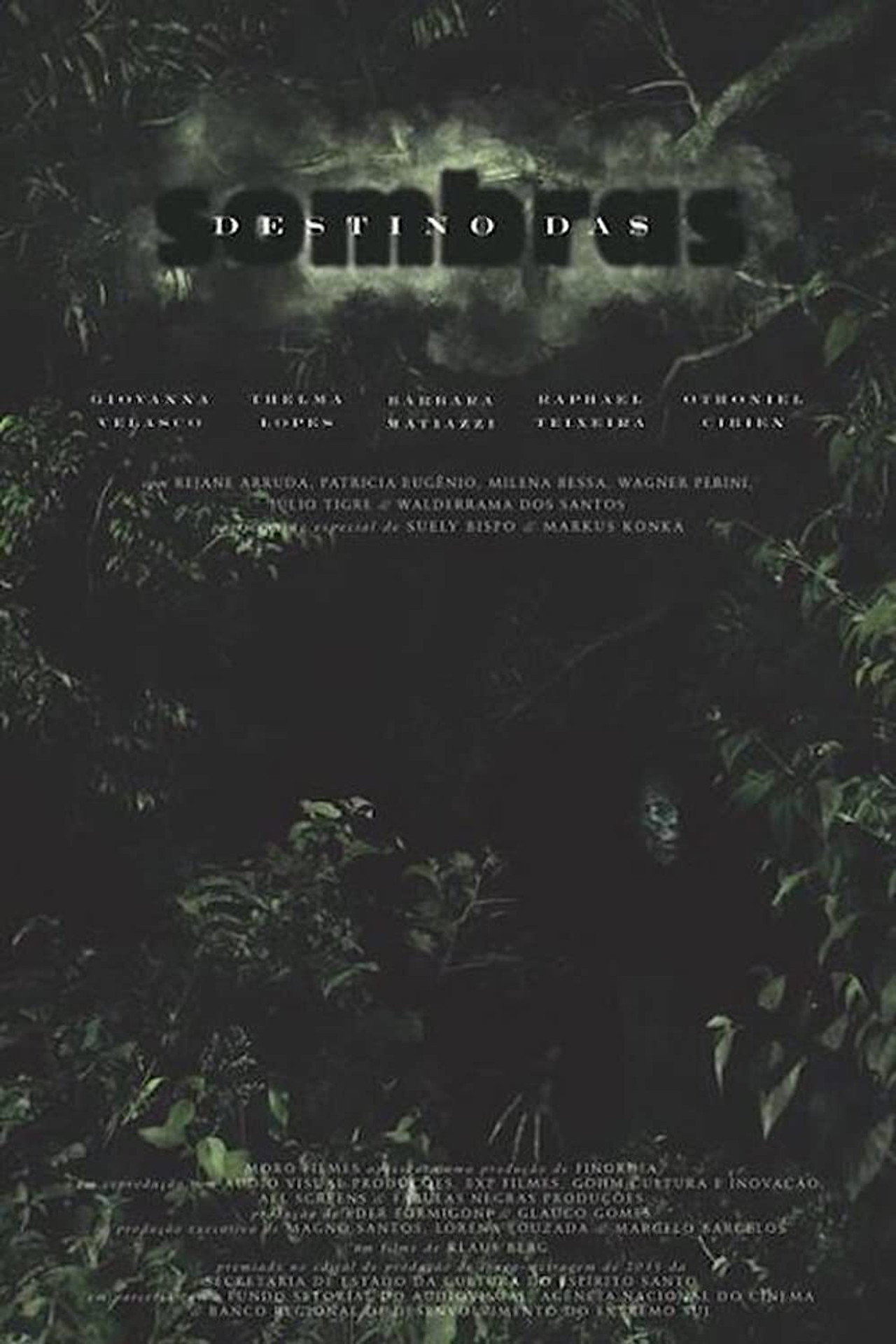 Destino das Sombras filmaffisch
