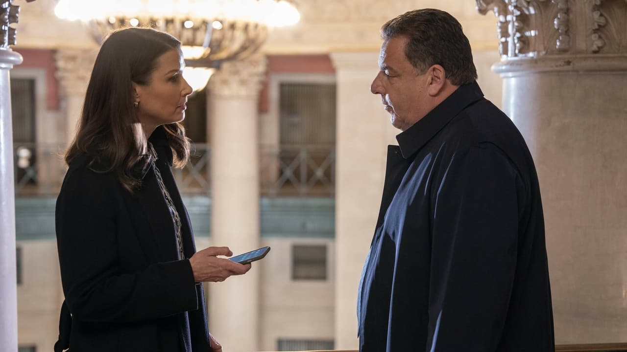 Blue Bloods - Season 13 Episode 13 : Past History