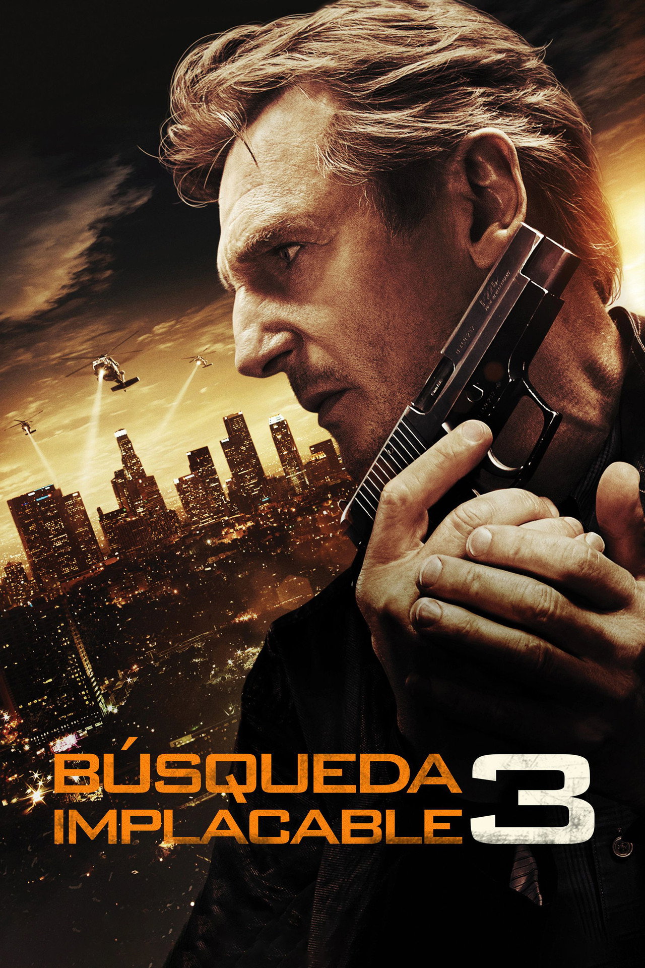 Búsqueda implacable 3
