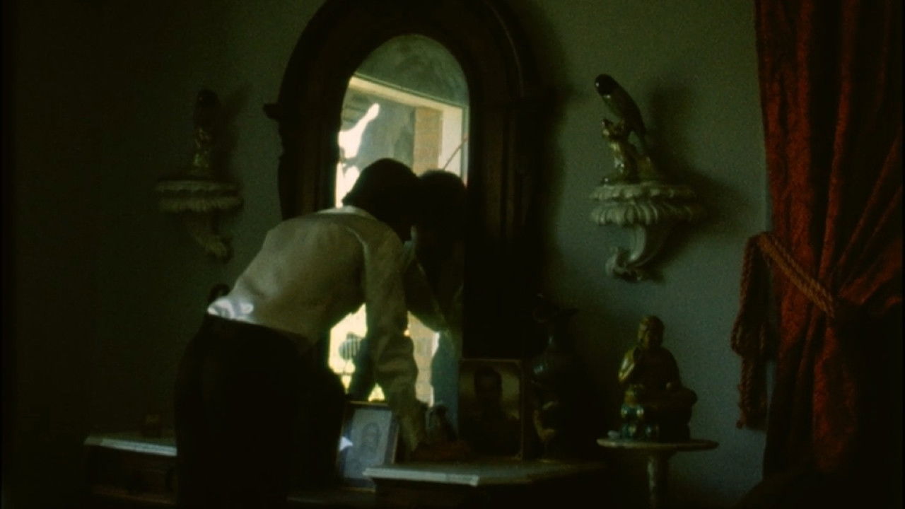 Willow Springs backdrop