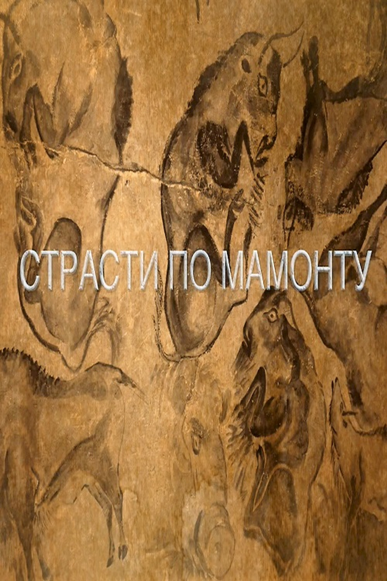 Passions For The Mammoth poster