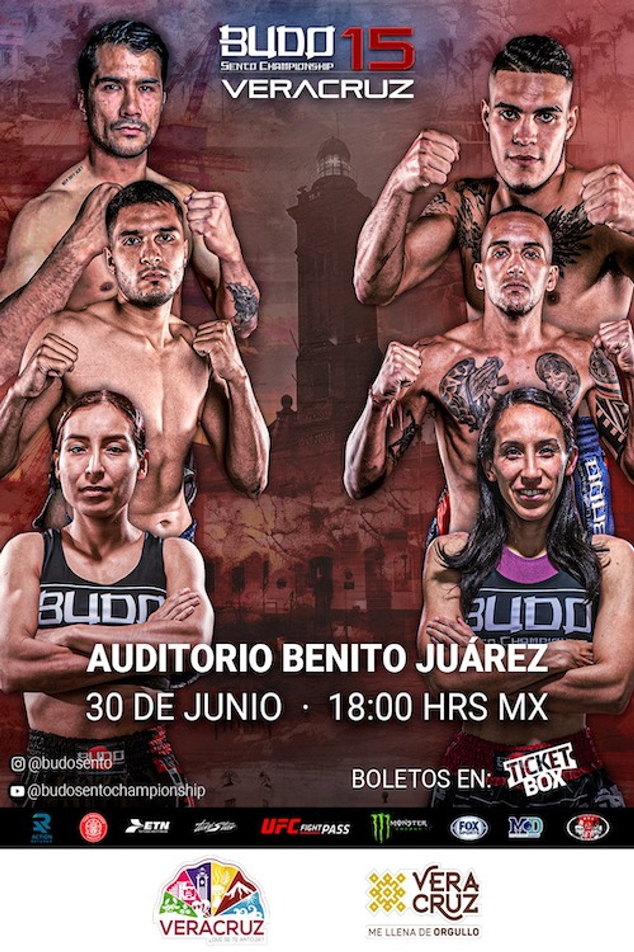 Budo Sento Championship 15 filmaffisch