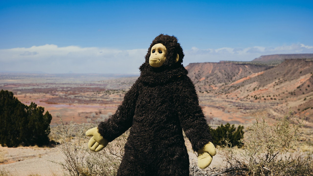 Sunlight (2024) Hindi Dubbed WEBRip backdrop