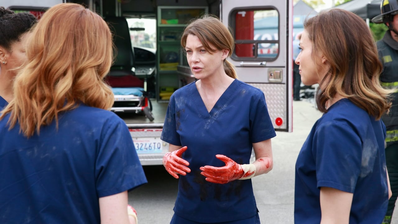 Grey's Anatomy - Season 11 Episode 23 : Time Stops