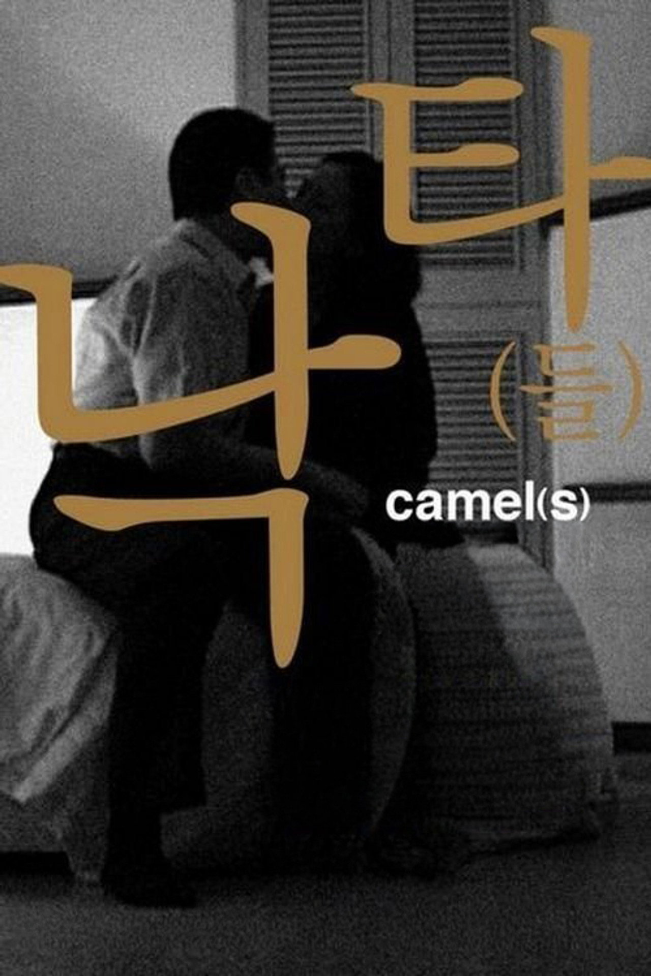 Camel(s)