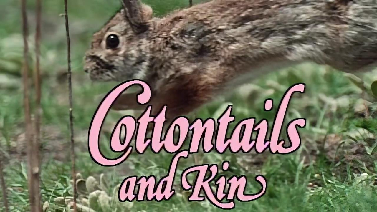 Marty Stouffer's Wild America — Épisode 2