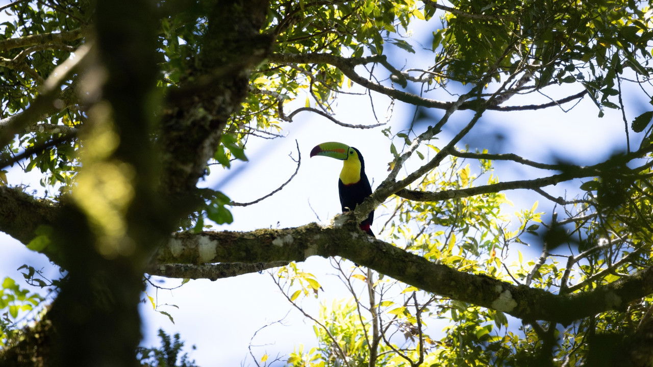 Gladiators — Épisode 3