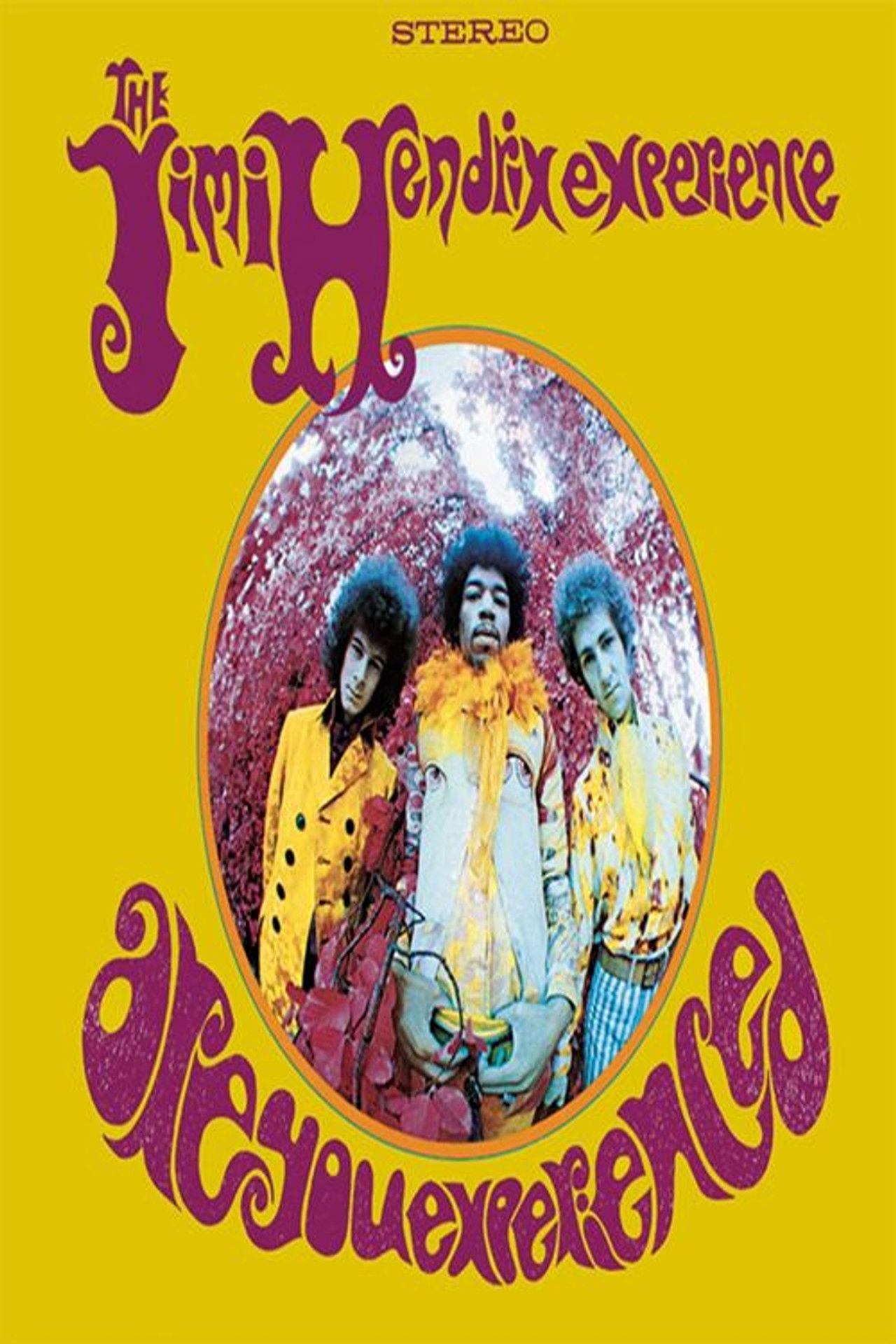 Are You Experienced Backdrop
