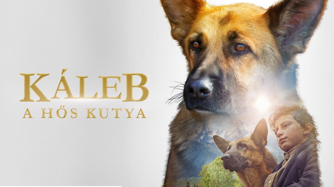 title image