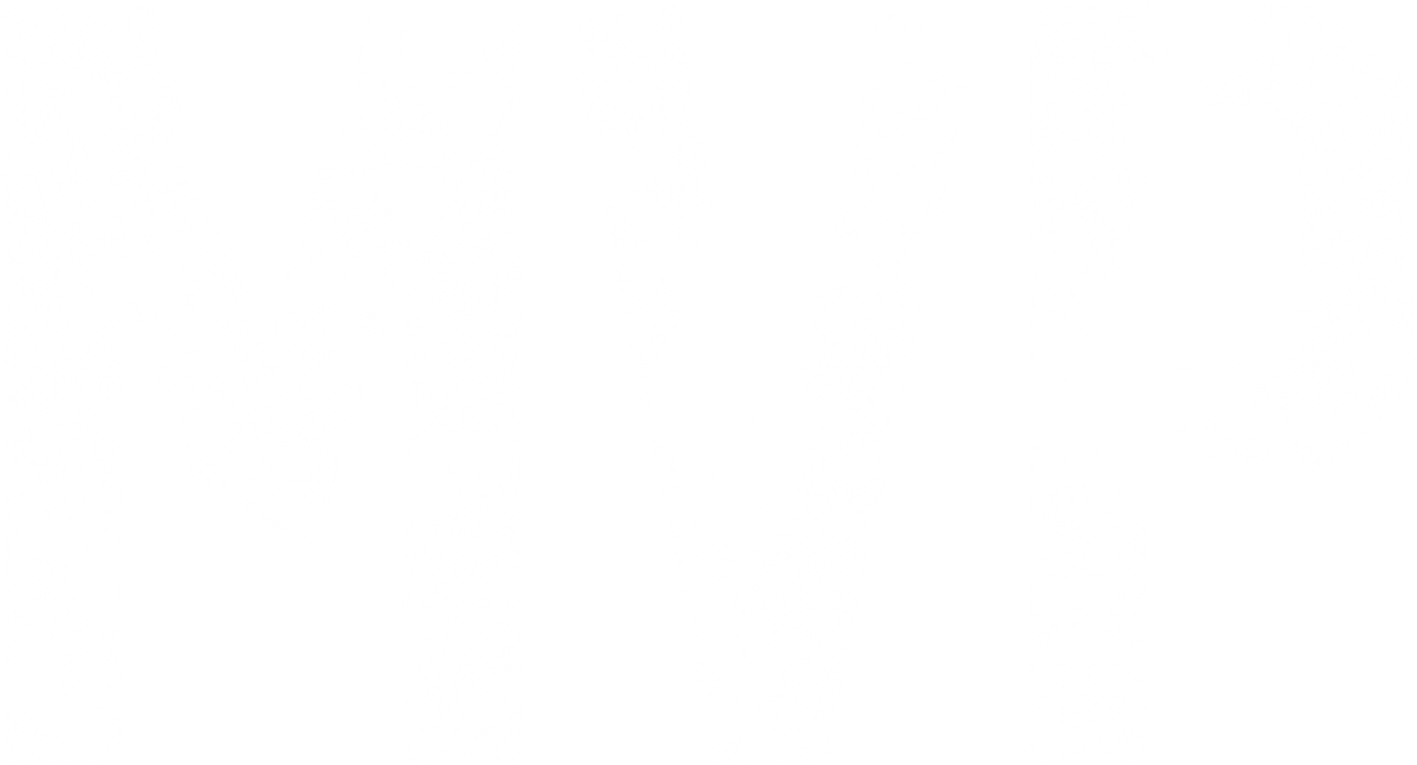 MVP