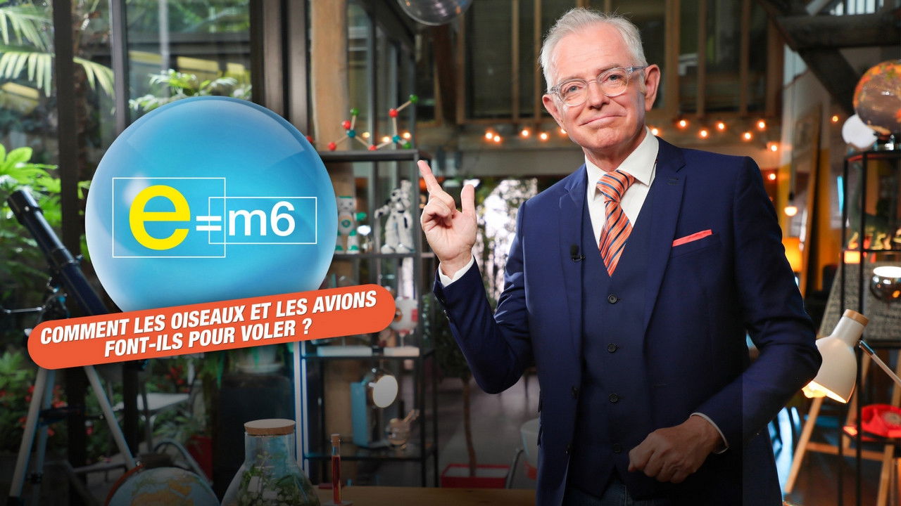 E=M6 — Géants d'acier ou moineaux, comment les avions et les oiseaux font-ils pour voler ?
