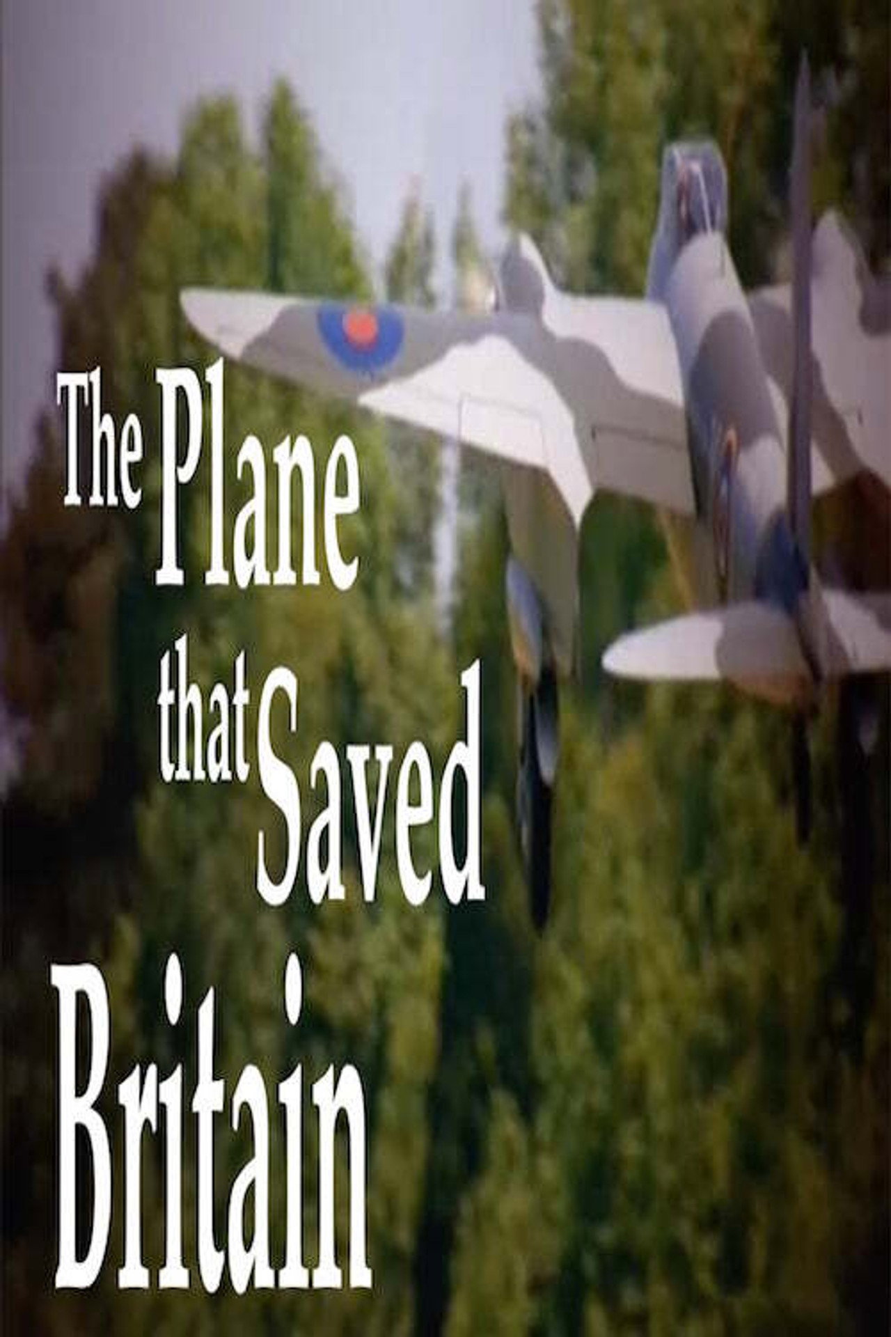 The Plane That Saved Britain filmaffisch