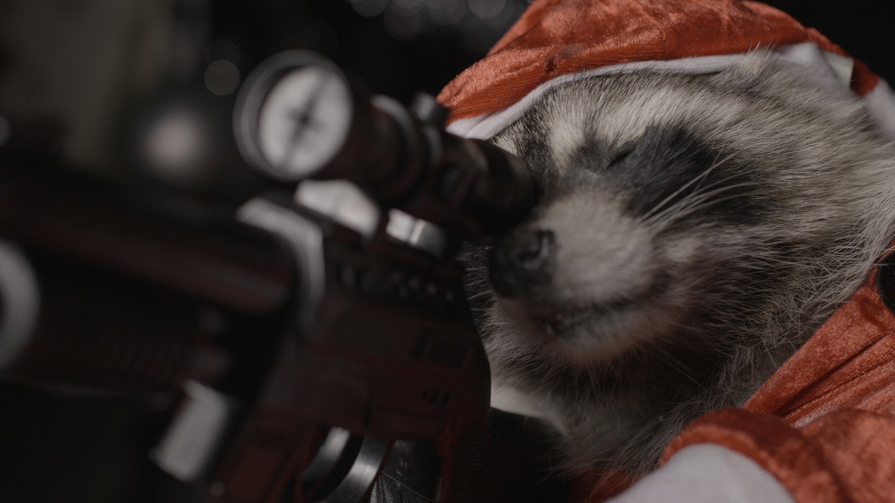 Killer Raccoons 2: Dark Christmas in the Dark still 3