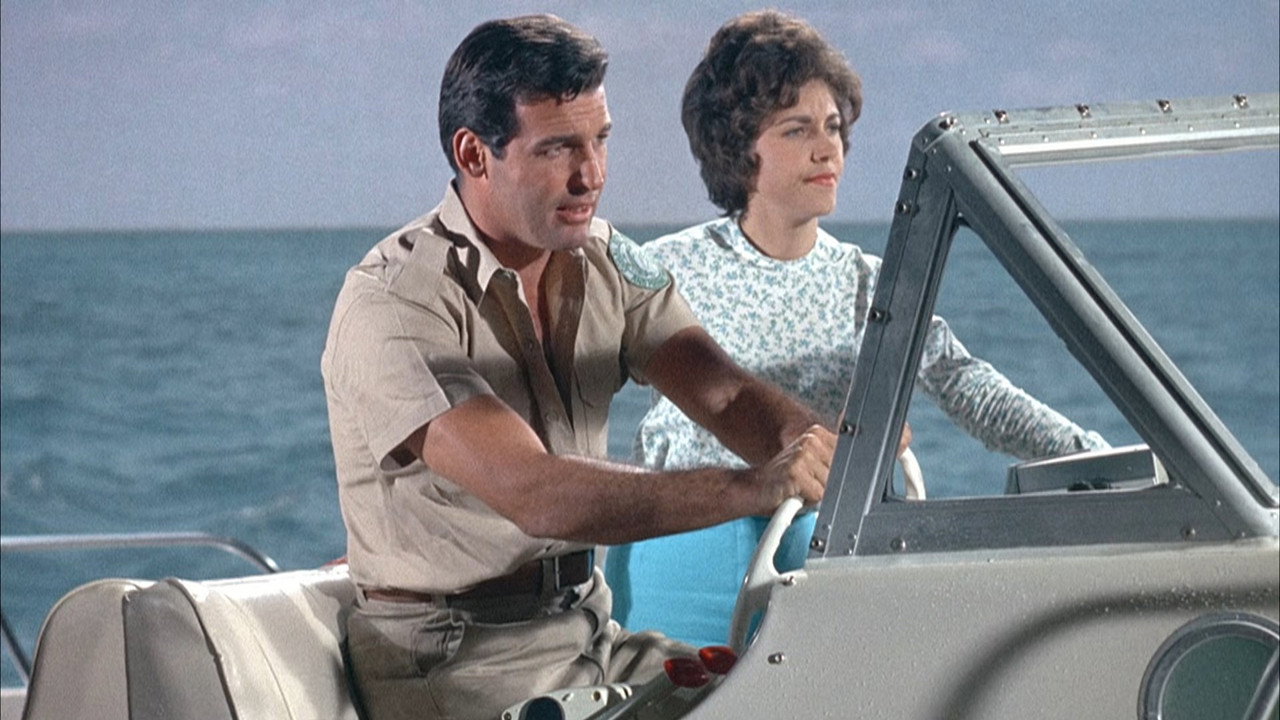 Flipper backdrop