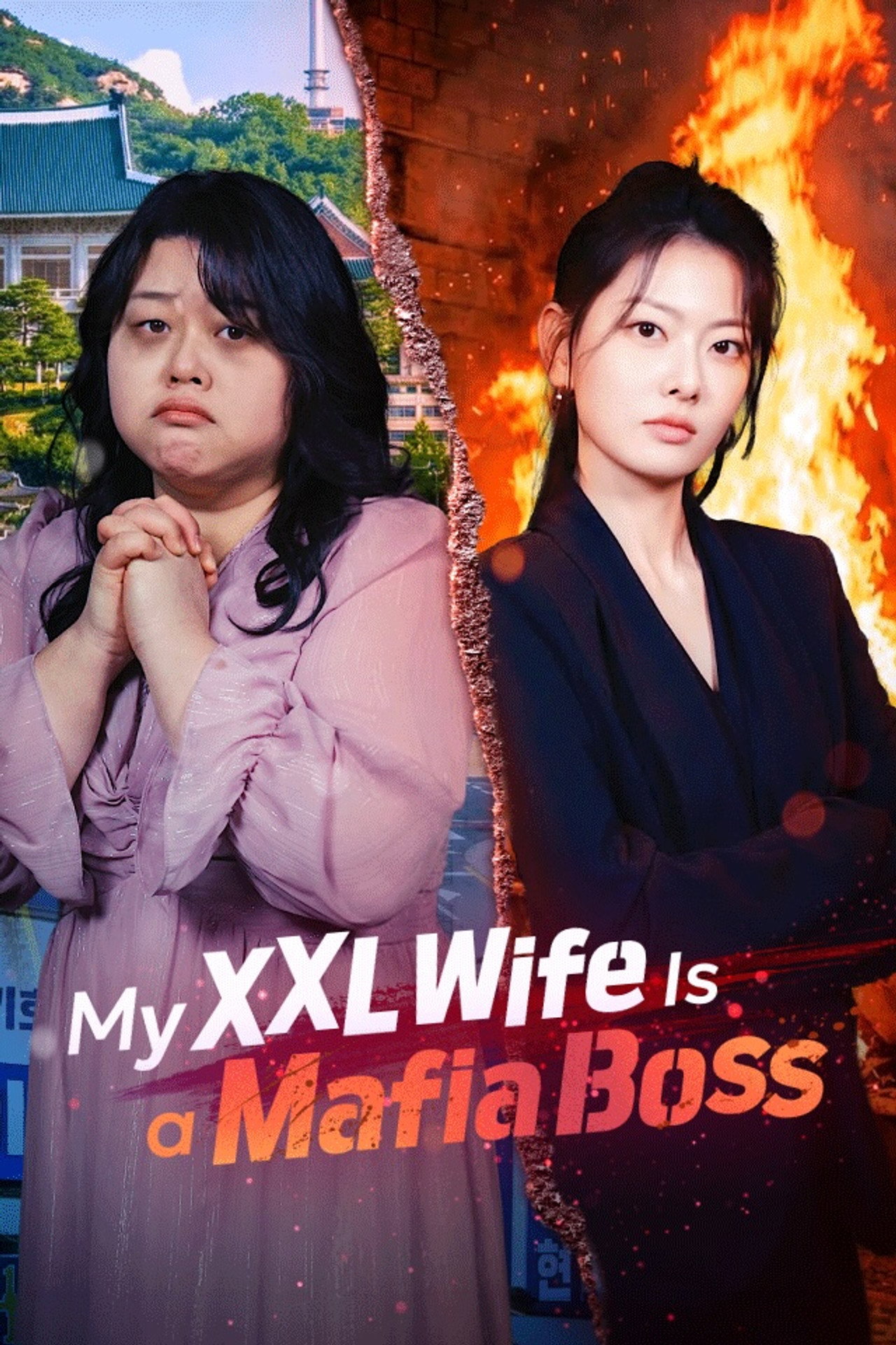 뚱보 아내는 조폭 마누라 affisch